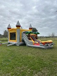 IMG 1976 1708649619 1743775084 9ft t-rex double lane combo