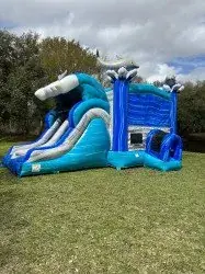 IMG 2009 1708646648 1743770550 1743771809 9ft dolphin double lane combo