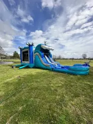 IMG 2011 1708646518 big 1743770549 1743771809 9ft dolphin double lane combo