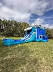 9ft dolphin double lane combo