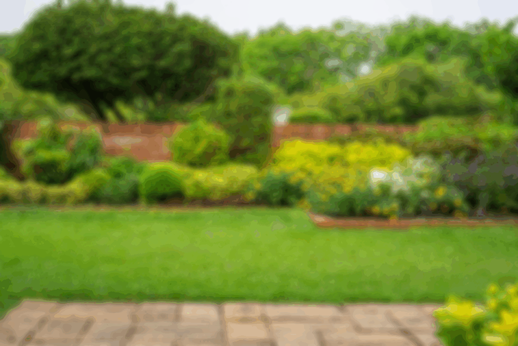 outside Home New