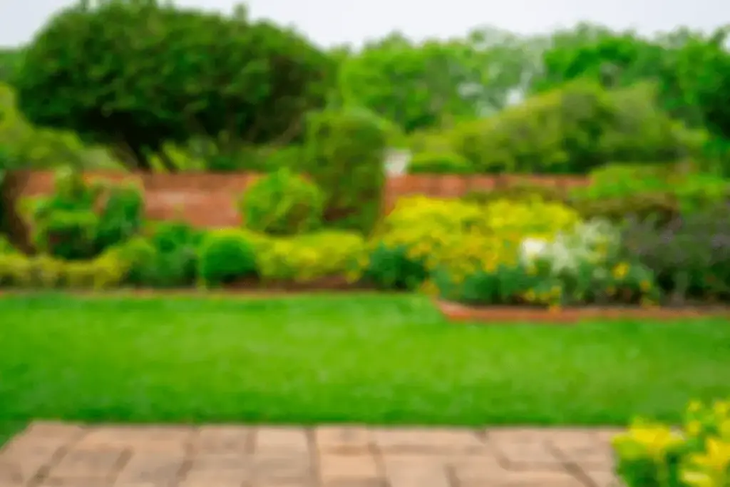 outside Home