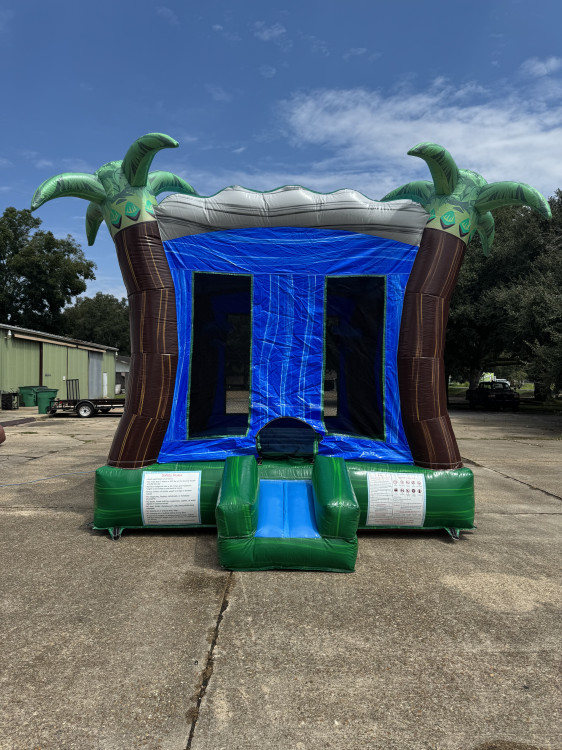 Aqua Trip bounce house