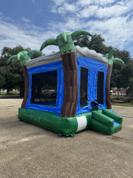 IMG 2814 1756500635 Aqua Trip bounce house
