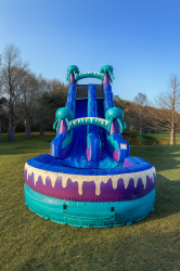 141853A5 6E77 41D3 9EB3 60ADB5934EDE 1759487592 20ft electric