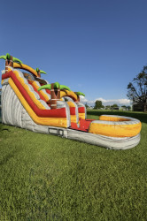 5C09504E 9C2E 441C AE35 78AF377AAAC0 1759445941 16ft tropical palm tree