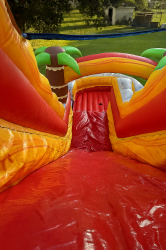 6DDD6BAD 56D7 4998 90F0 DA32D536E6FB 1759446052 16ft tropical palm tree