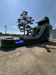 IMG 8786 1760637617 18ft emerald crush