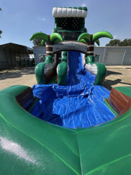 IMG 8788 1760637686 18ft emerald crush