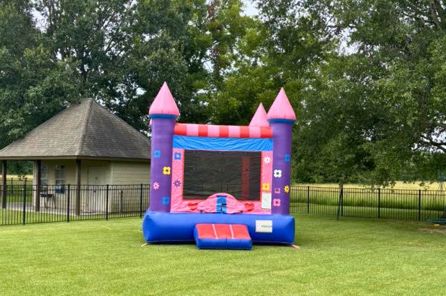 Bounce House Party Guide