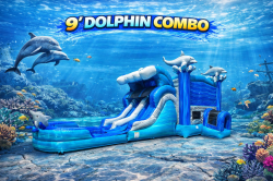 9ft dolphin double lane combo