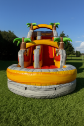 B25A7E12 1E30 46A8 83C5 074357105EBE 1759445988 16ft tropical palm tree