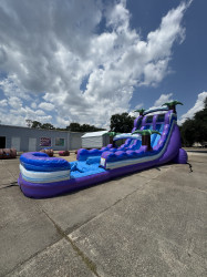 IMG 2787 1756325769 20ft. extended dbl. lane Purple Thunder