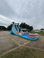 IMG 2866 1756499619 22ft. Fiji Falls