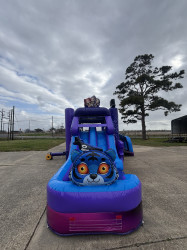 IMG 7326 1772150797 1 9ft K-Pop demon hunter dbl lane combo