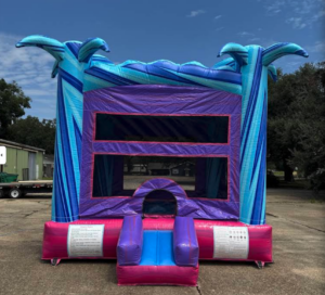 Purple and blue bounce house inflatable rental