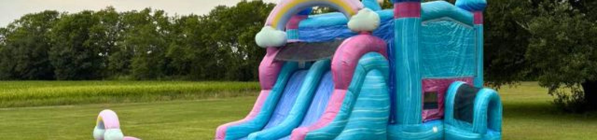 Water Slide Alternatives for Mardi Gras Parties